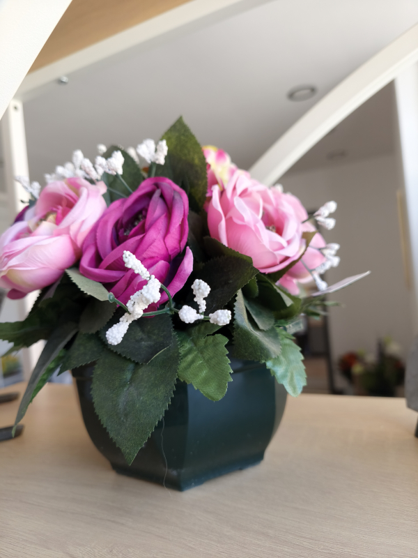 COUP FUSHIA ROSE13